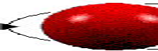 D§S Logo